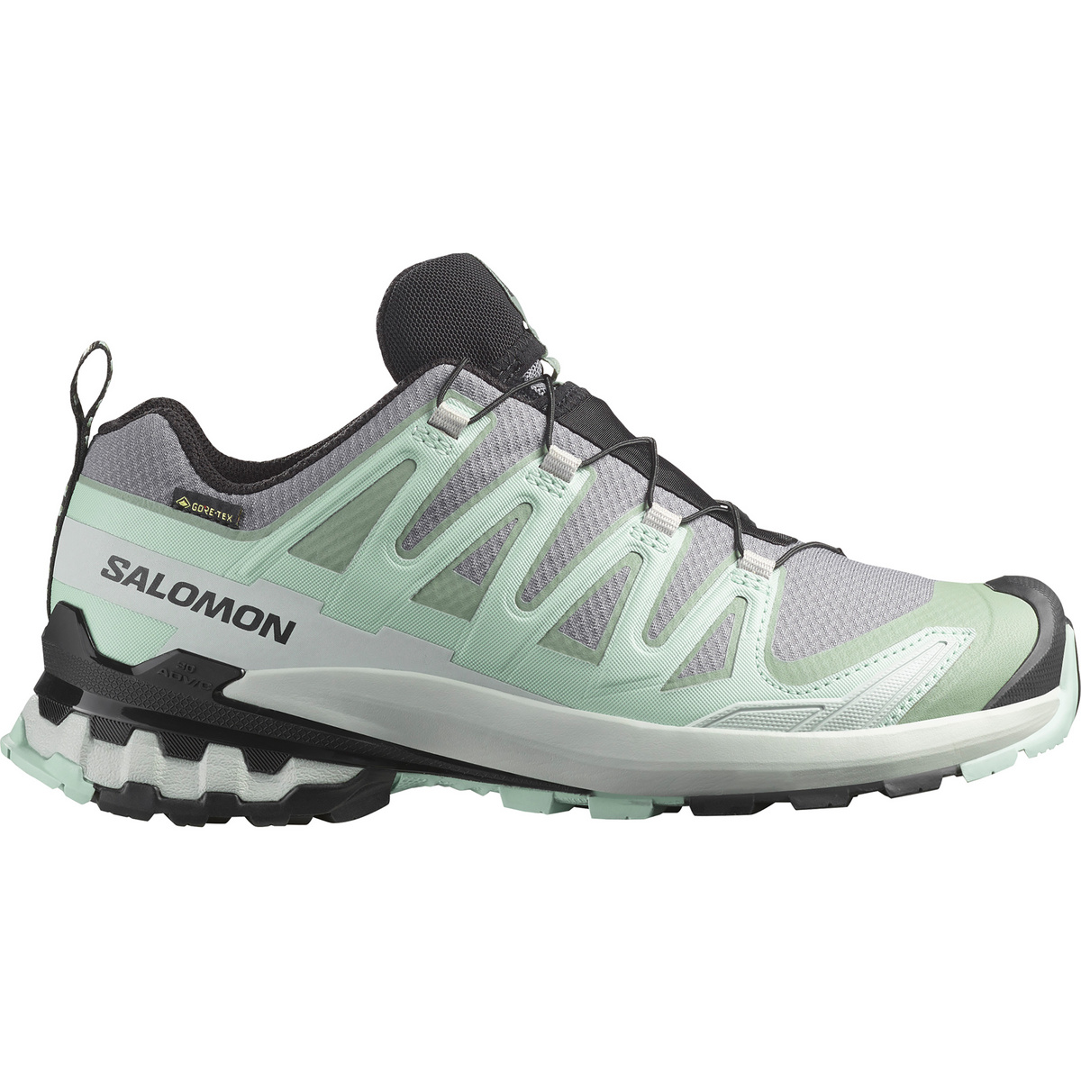 Salomon Donna Scarpe Xa Pro 3D V9 GTX (Taglia 38.5 , Grigio)