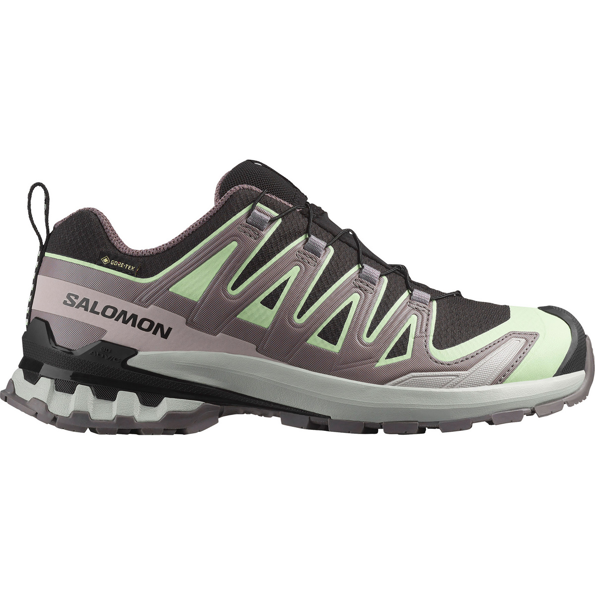 Salomon Damen Xa Pro 3D V9 GTX Schuhe (Größe 36.5 , grau)