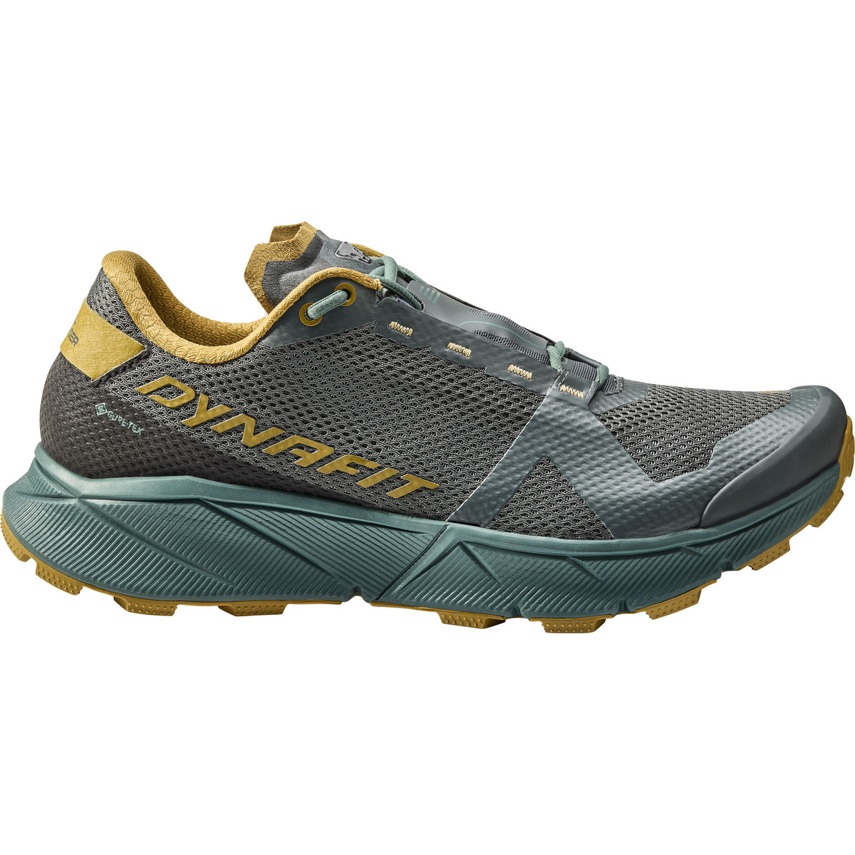 Dynafit Uomo Scarpe Ultra 100 GTX (Taglia 44.5, Blu)