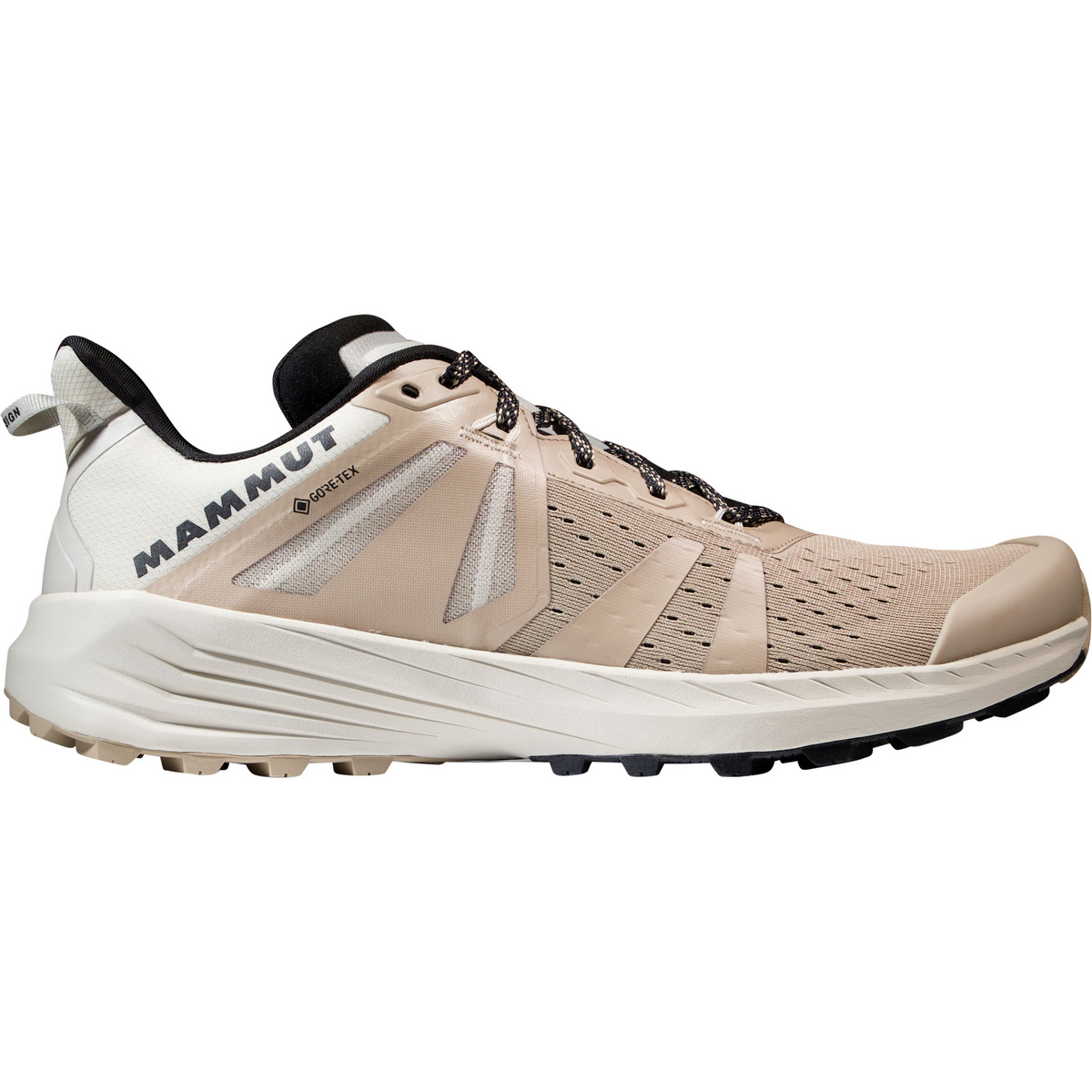 Mammut Uomo Scarpe Saentis TR Low GTX (Taglia 46, Beige)