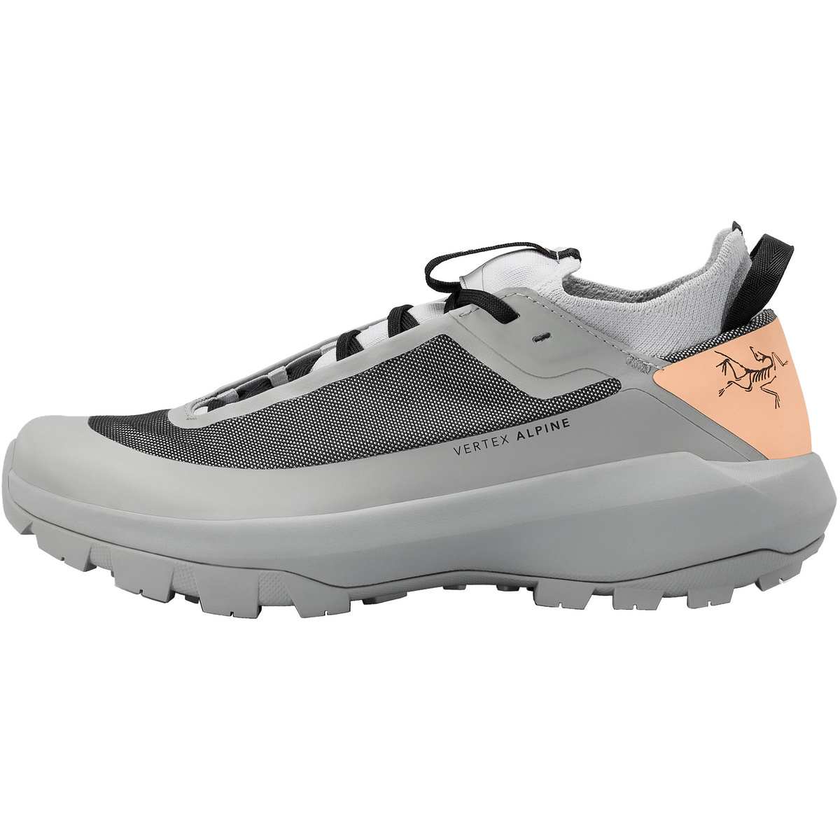 Arcteryx Damen Vertex Alpine Schuhe (Größe 42, schwarz)