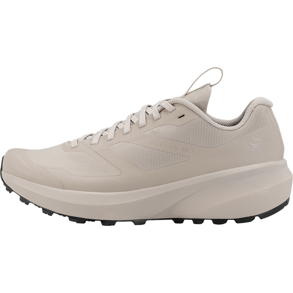 Arcteryx Femme Chaussures Norvan LD3 GTX (taille 39 , Gris)