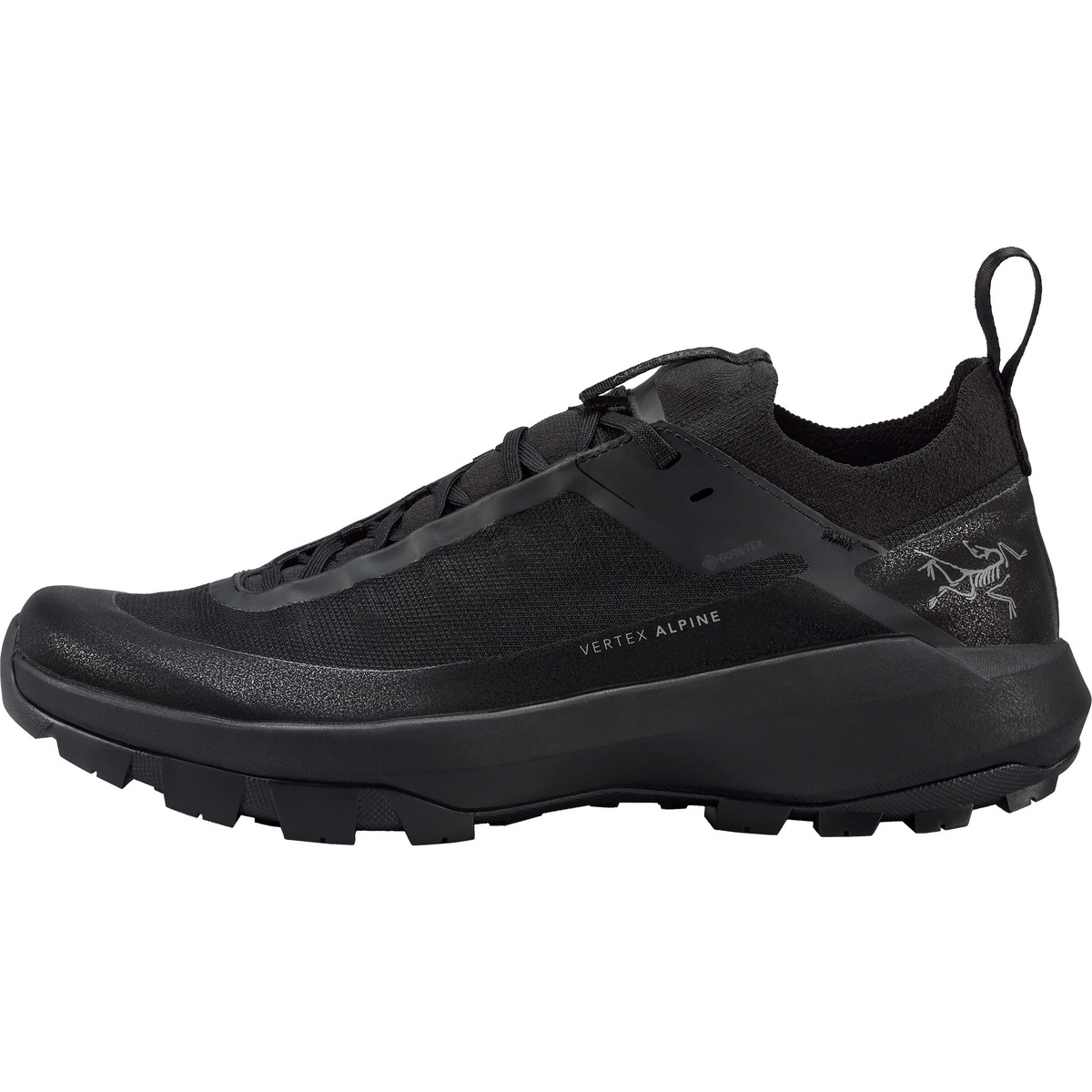 Arcteryx Herren Vertex Alpine GTX Schuhe (Größe 42, schwarz)