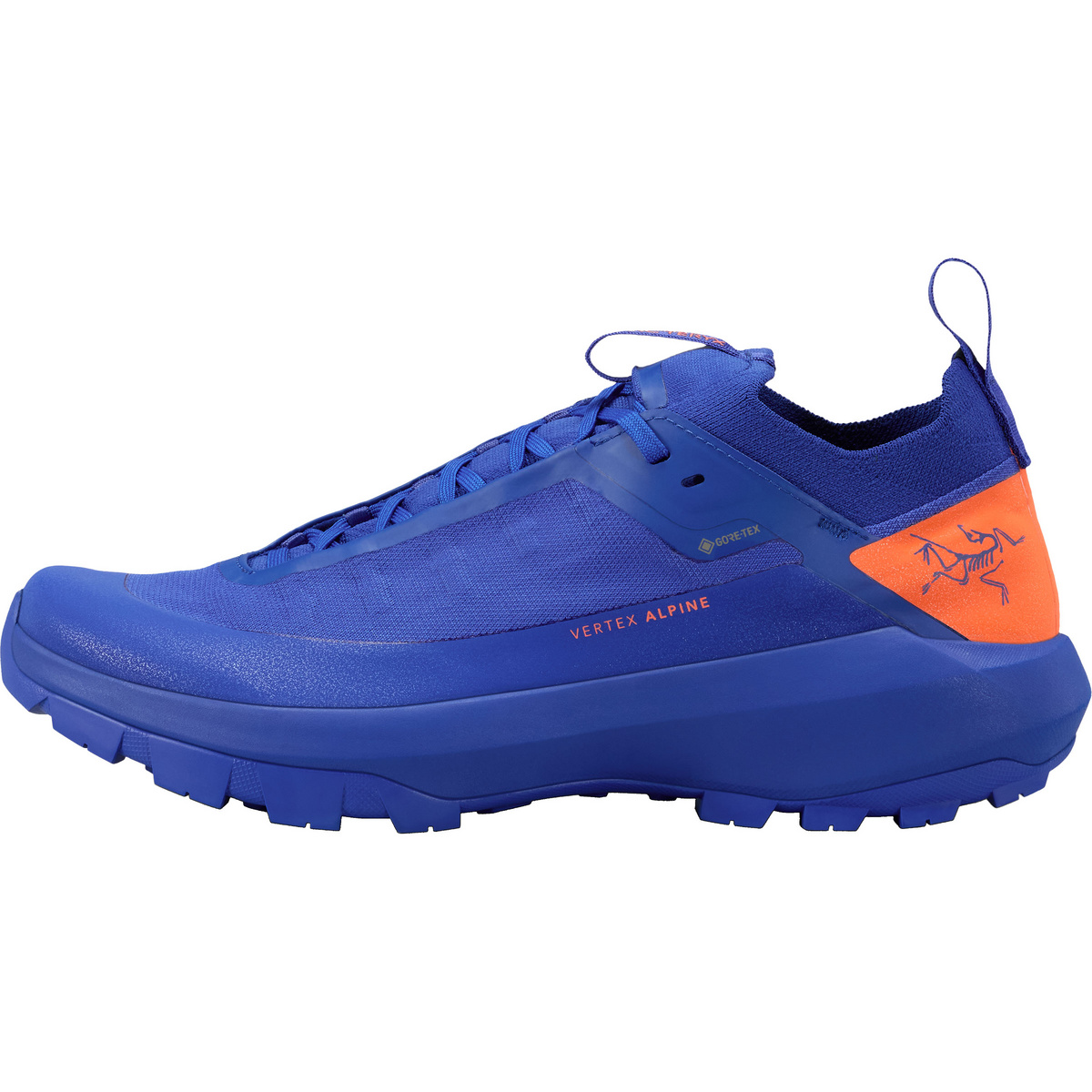 Arcteryx Herren Vertex Alpine GTX Schuhe (Größe 44, blau)