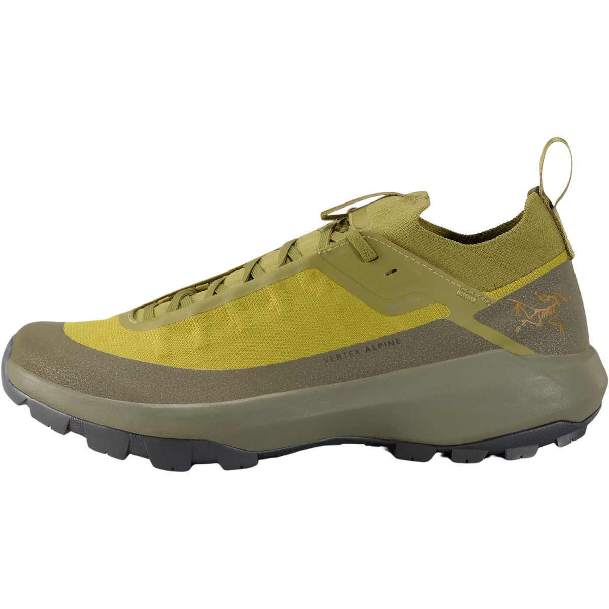 Image of Arcteryx Uomo Scarpe Vertex Alpine GTX