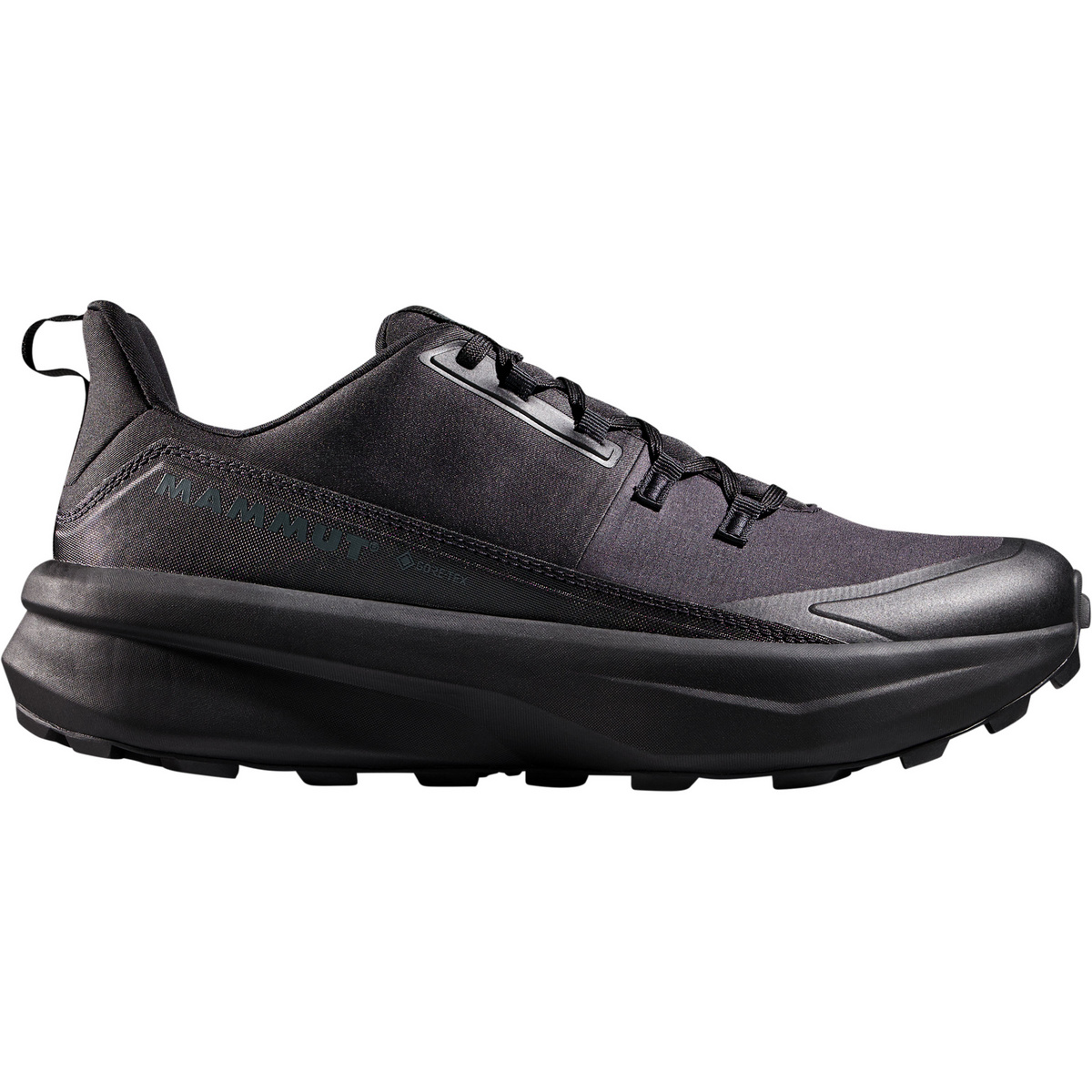 Mammut Uomo Scarpe Aenergy Hike Low GTX (Taglia 47.5, Nero)