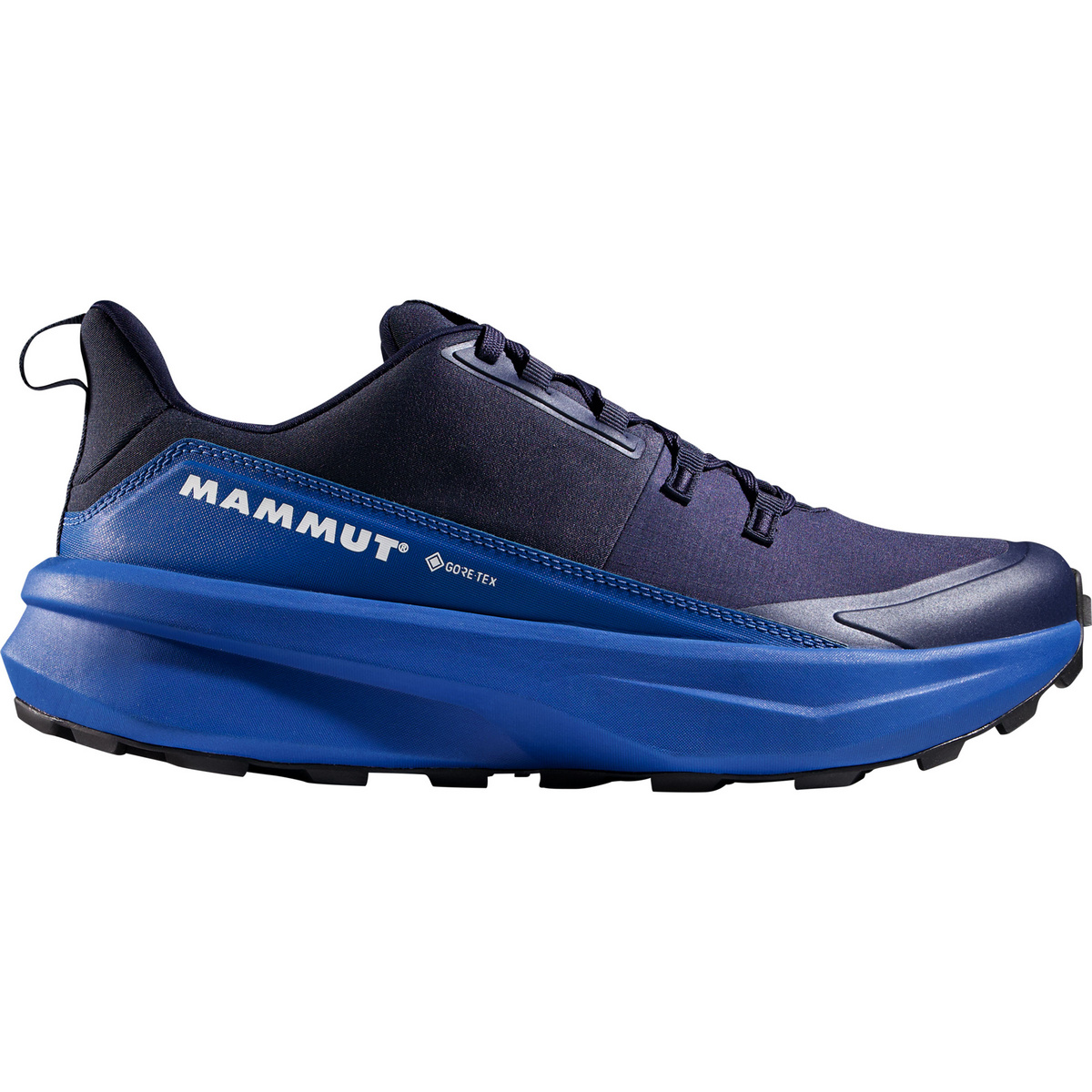 Mammut Herren Aenergy Hike Low GTX Schuhe (Größe 46.5 , blau)