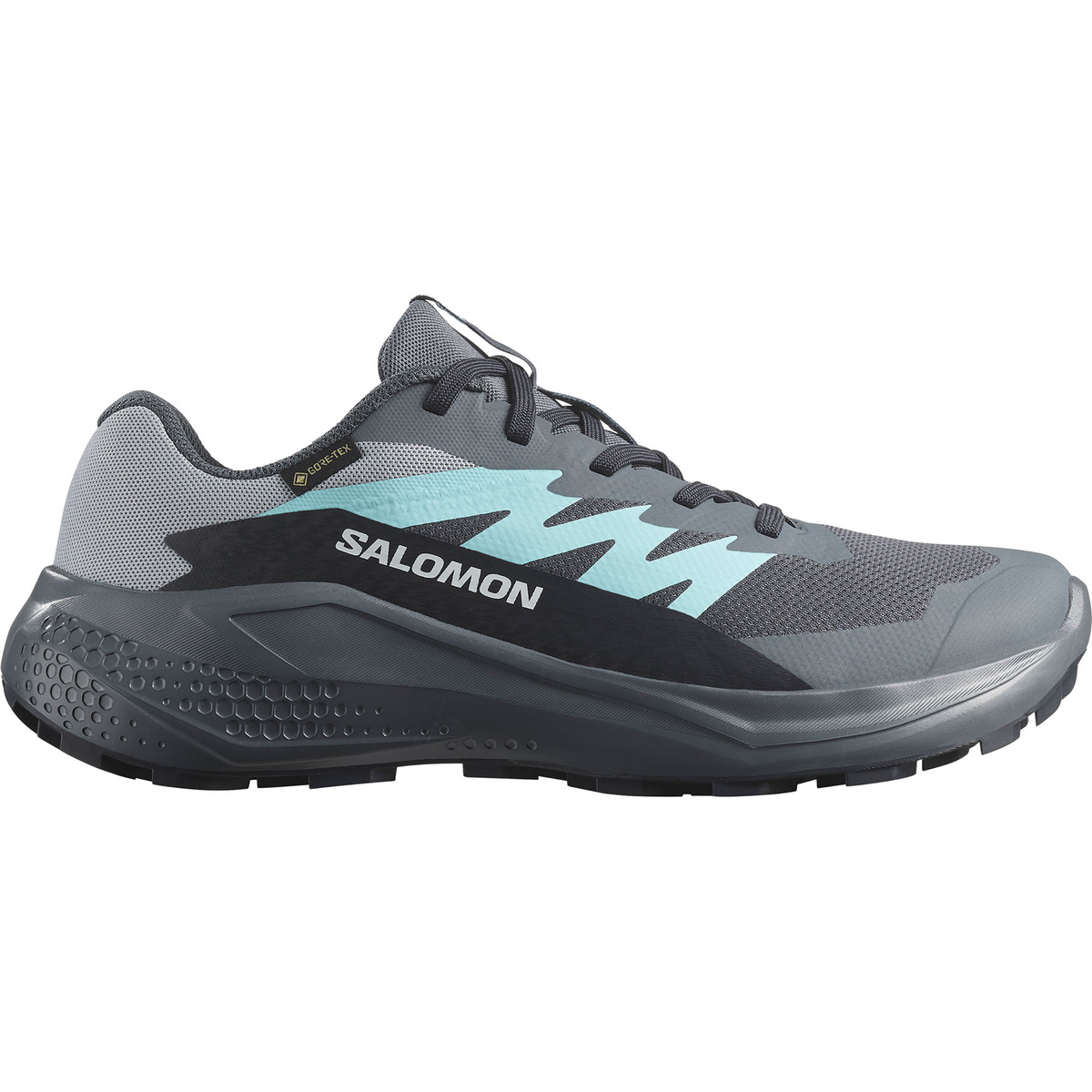 Image of Salomon Donna Scarpe Alphaglide GTX