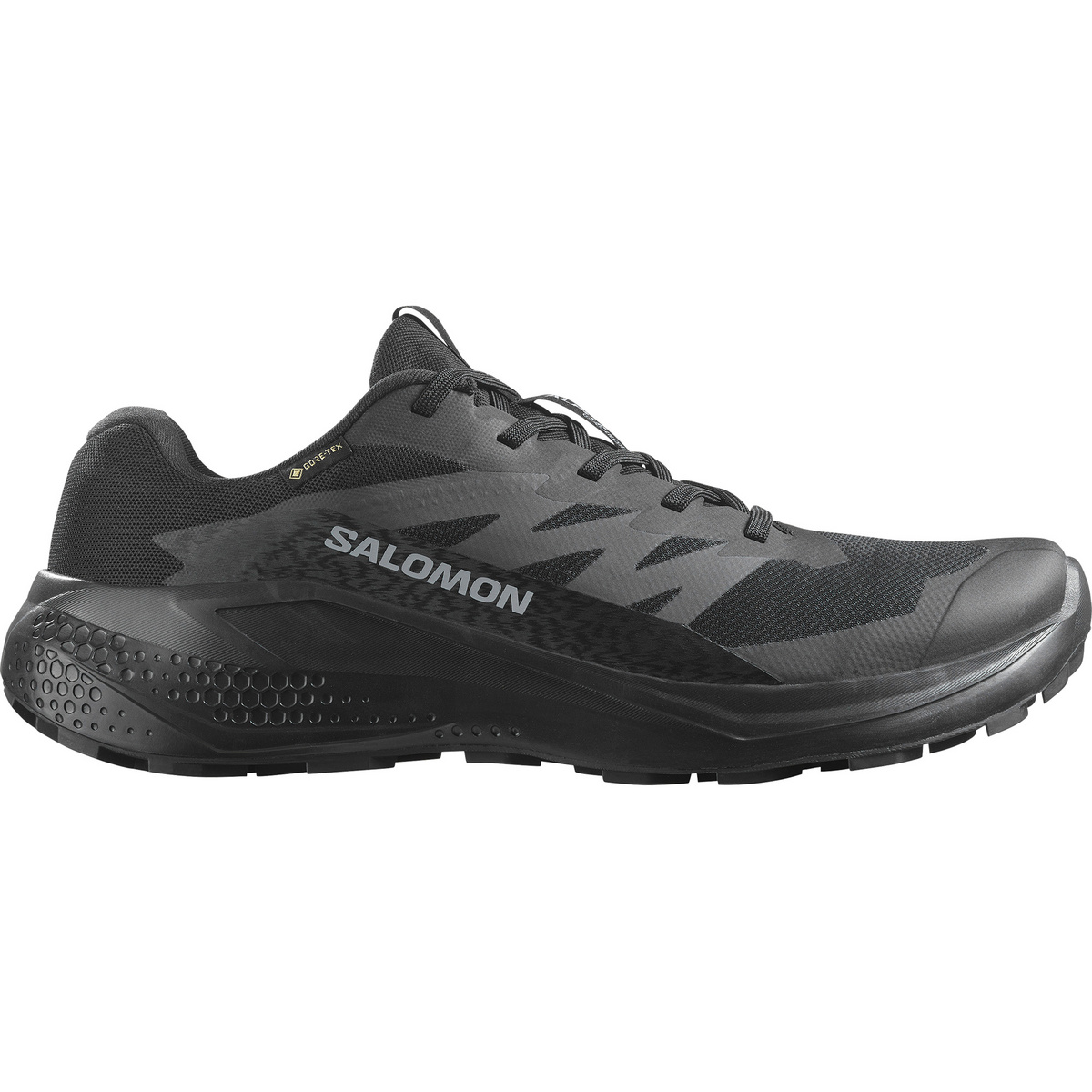 Salomon Uomo Scarpe Alphaglide GTX (Taglia 43 , Nero)