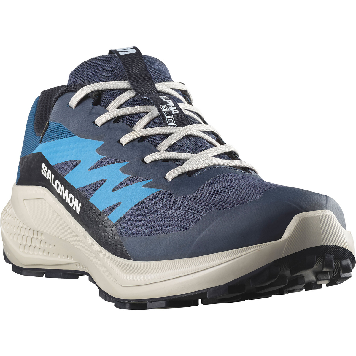 Salomon Herren Alphaglide GTX Schuhe (Größe 47 , blau)