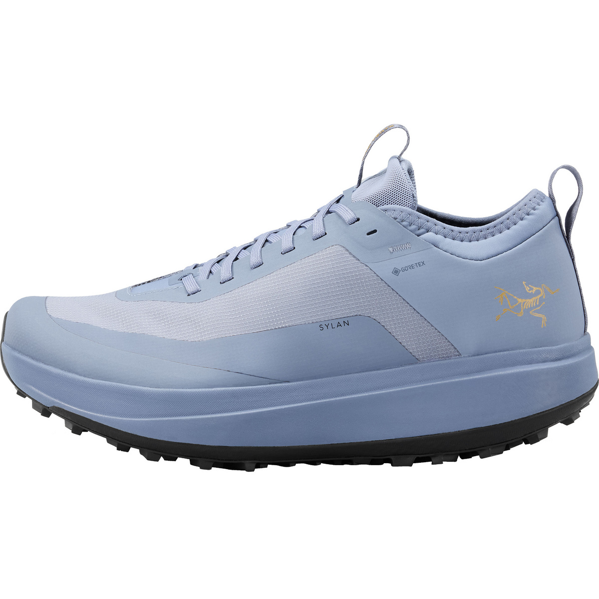 Arcteryx Uomo Scarpe Sylan GTX (Taglia 41 , Blu)