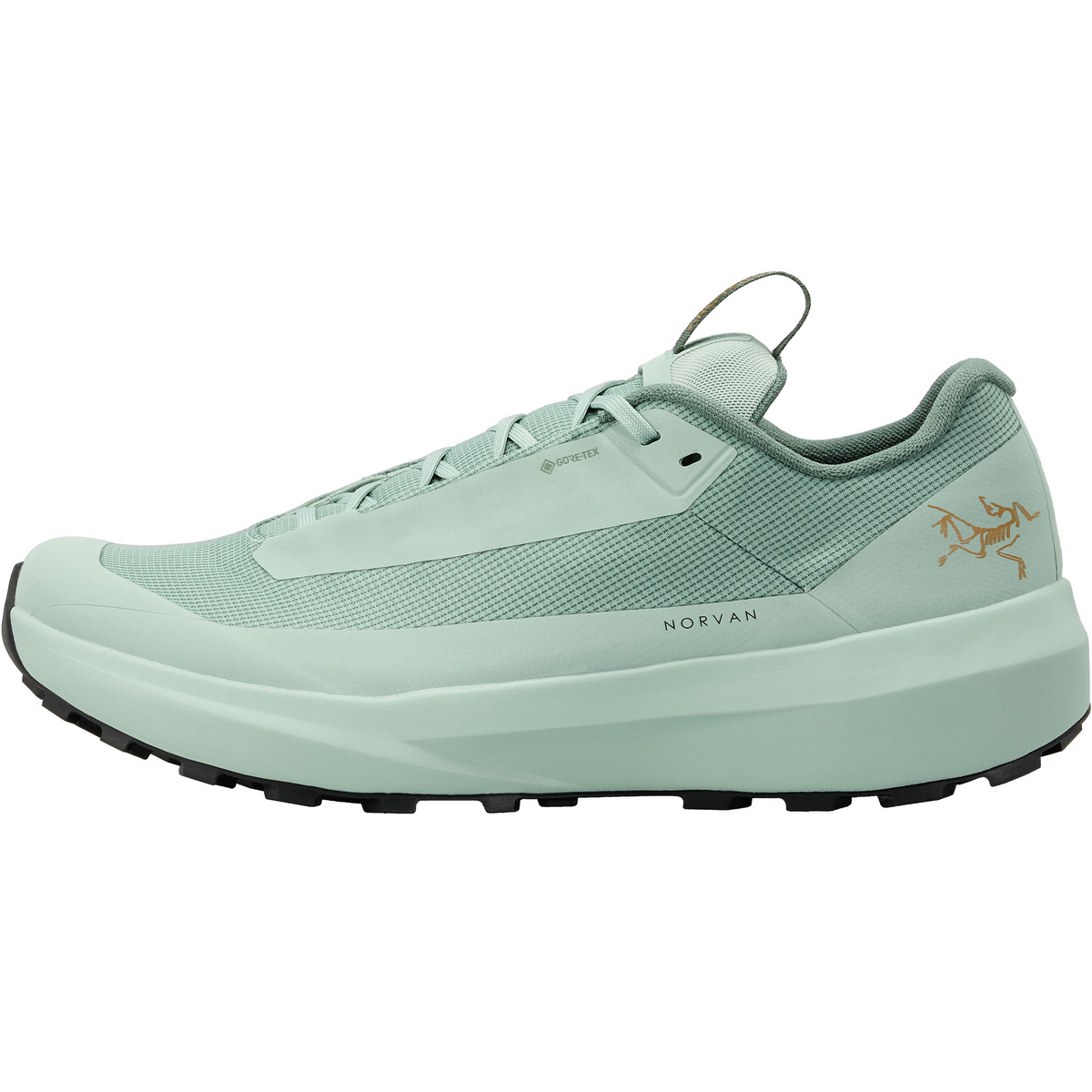 Arcteryx Uomo Scarpe Norvan LD 4 GTX (Taglia 41 , Verde)