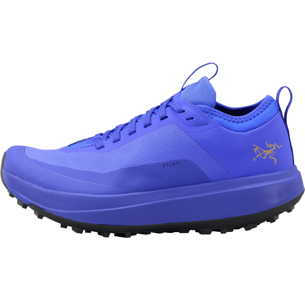 Arcteryx Donna Scarpe Sylan GTX (Taglia 41 , Blu)