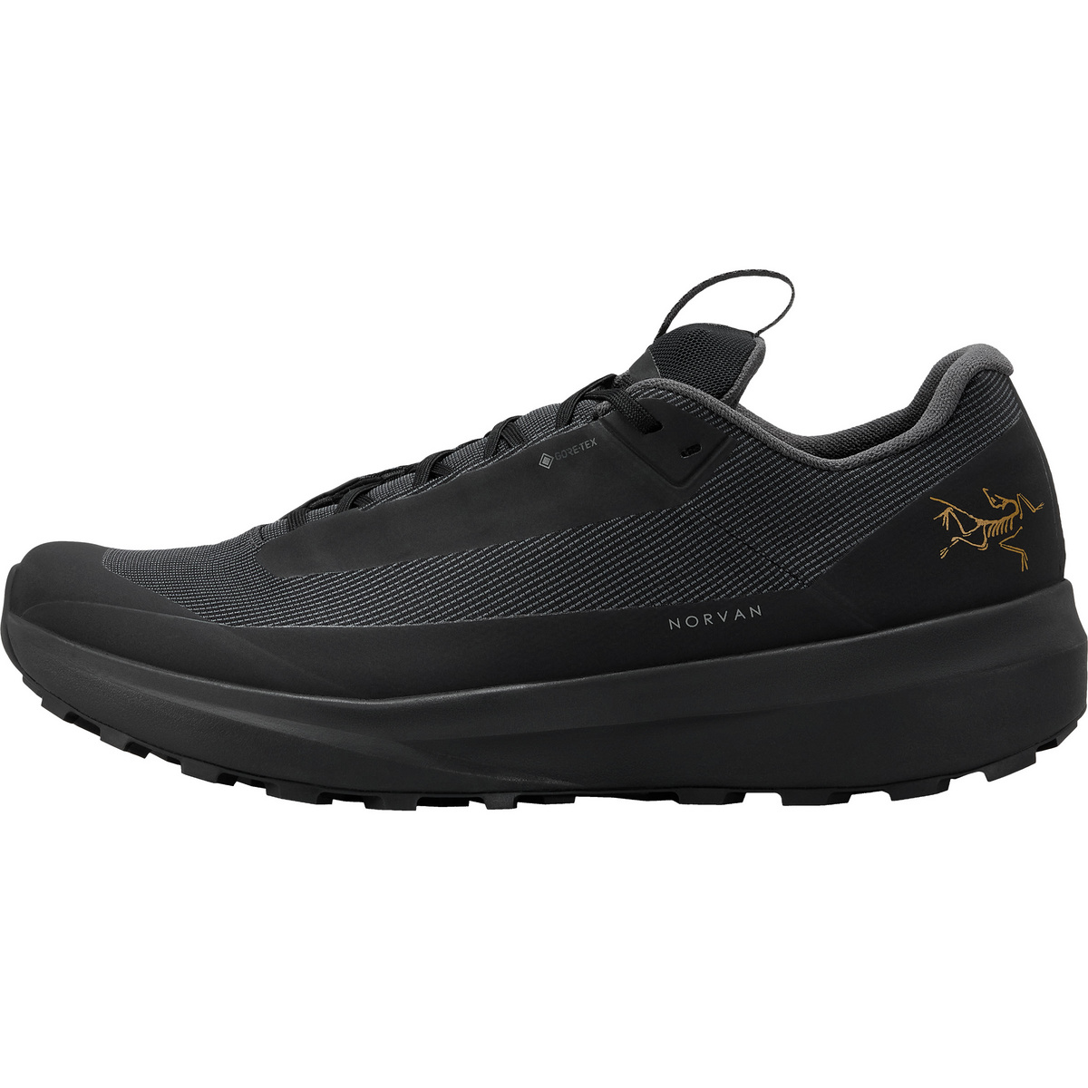 Arcteryx Damen Norvan LD 4 GTX Schuhe (Größe 38, schwarz)