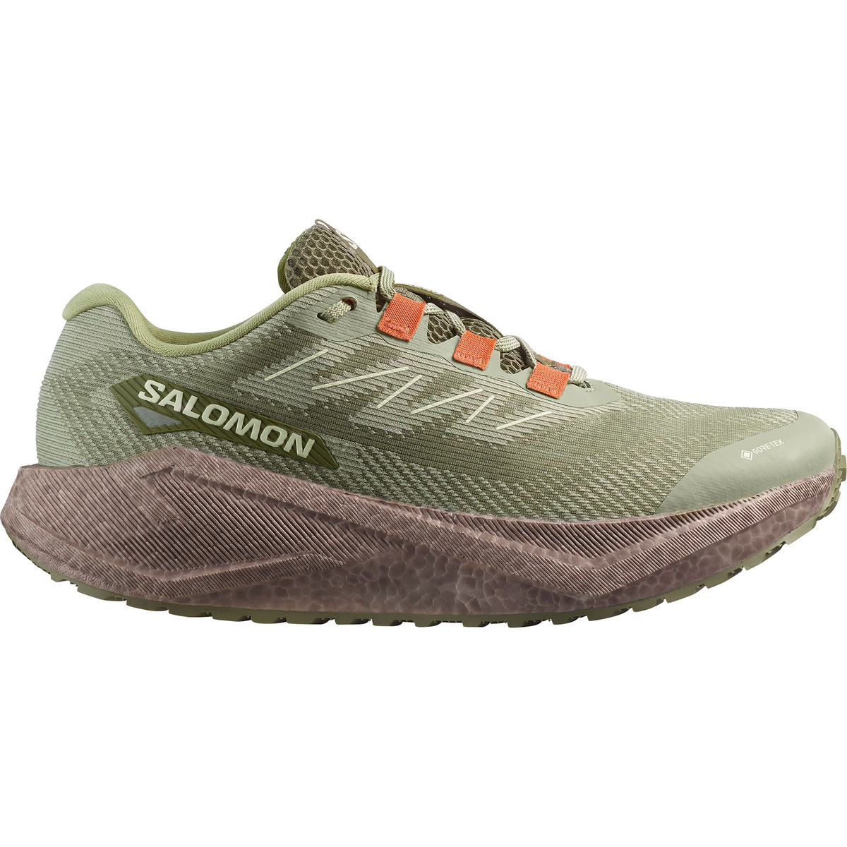 Image of Salomon Uomo Scarpe Aero Blaze 3 GRVL GTX