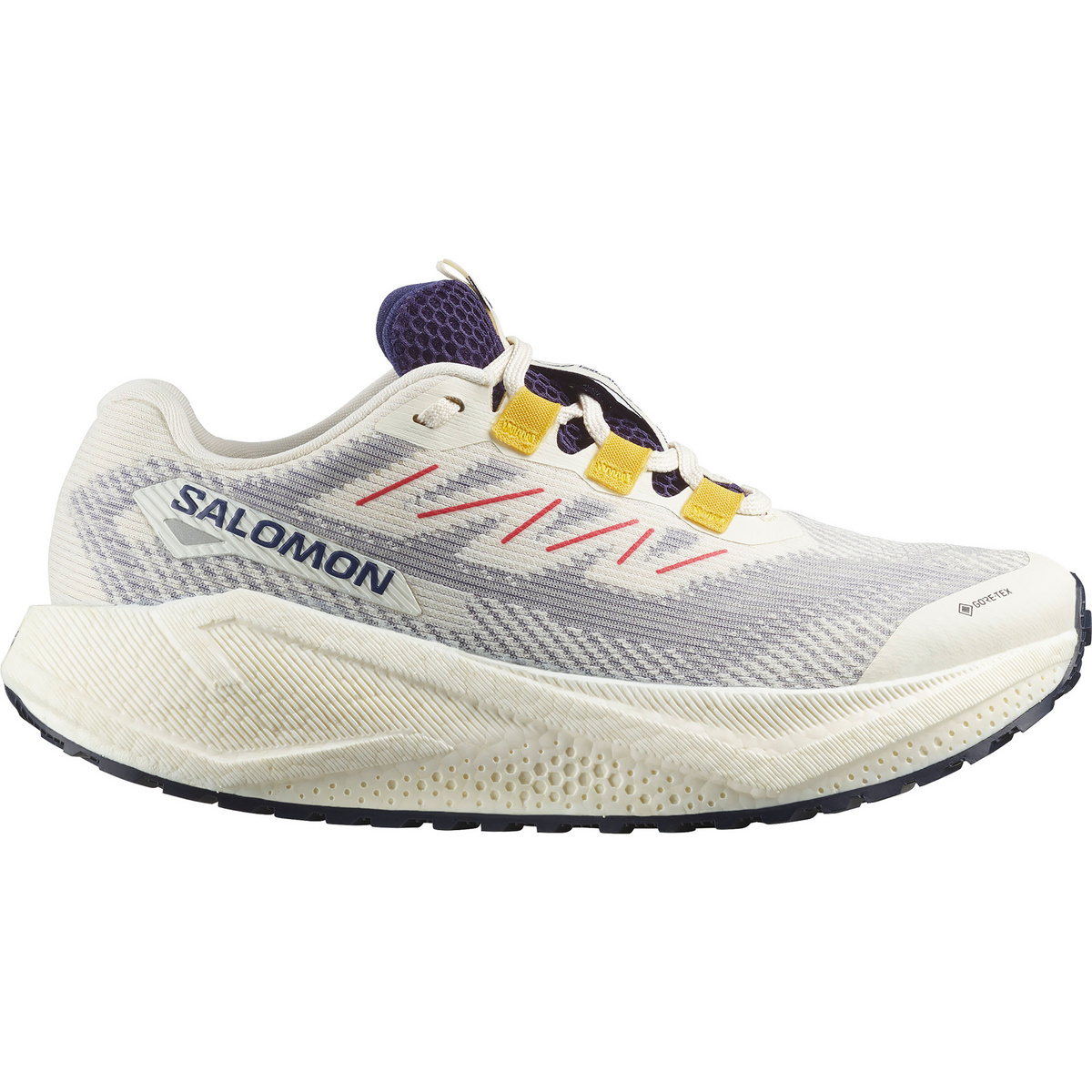 Image of Salomon Donna Scarpe Aero Blaze 3 GRVL GTX