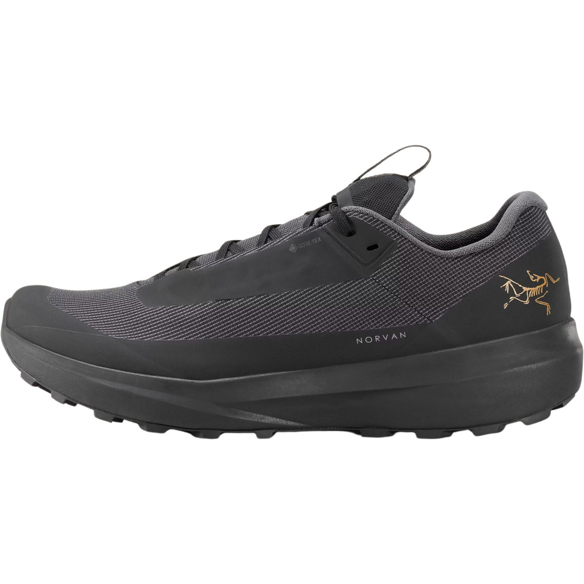 Arcteryx Damen Norvan LD 4 GTX Schuhe (Größe 39 , schwarz)