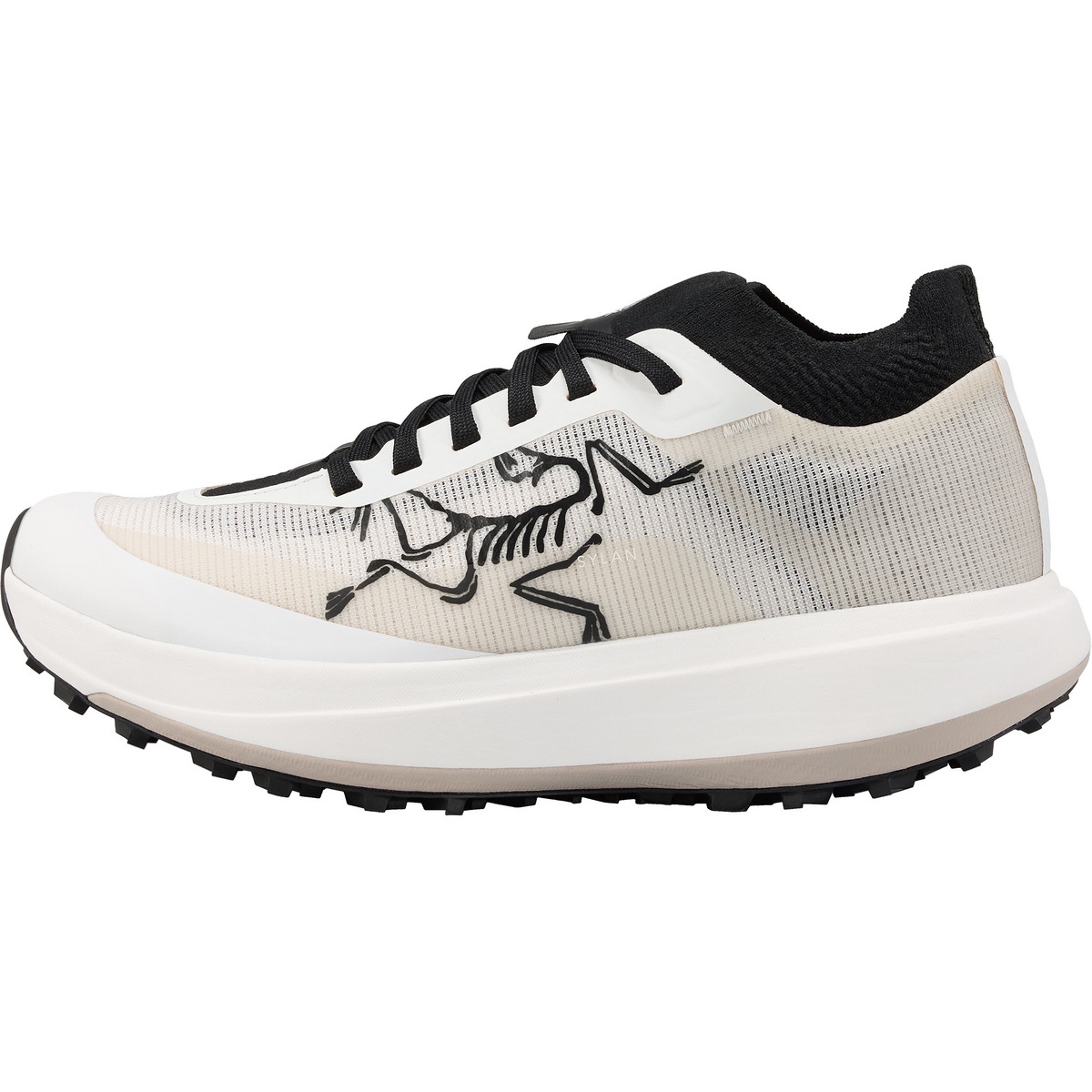 Image of Arcteryx Donna Scarpe Sylan Pro