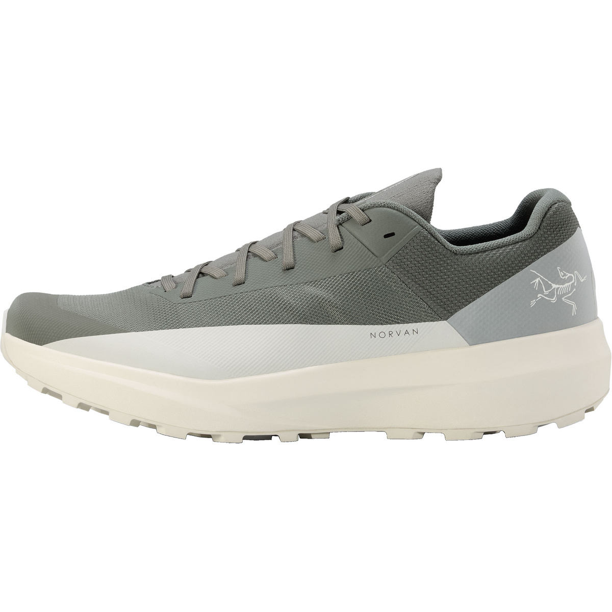 Arcteryx Herren Norvan LD 4 Schuhe (Größe 46, oliv)