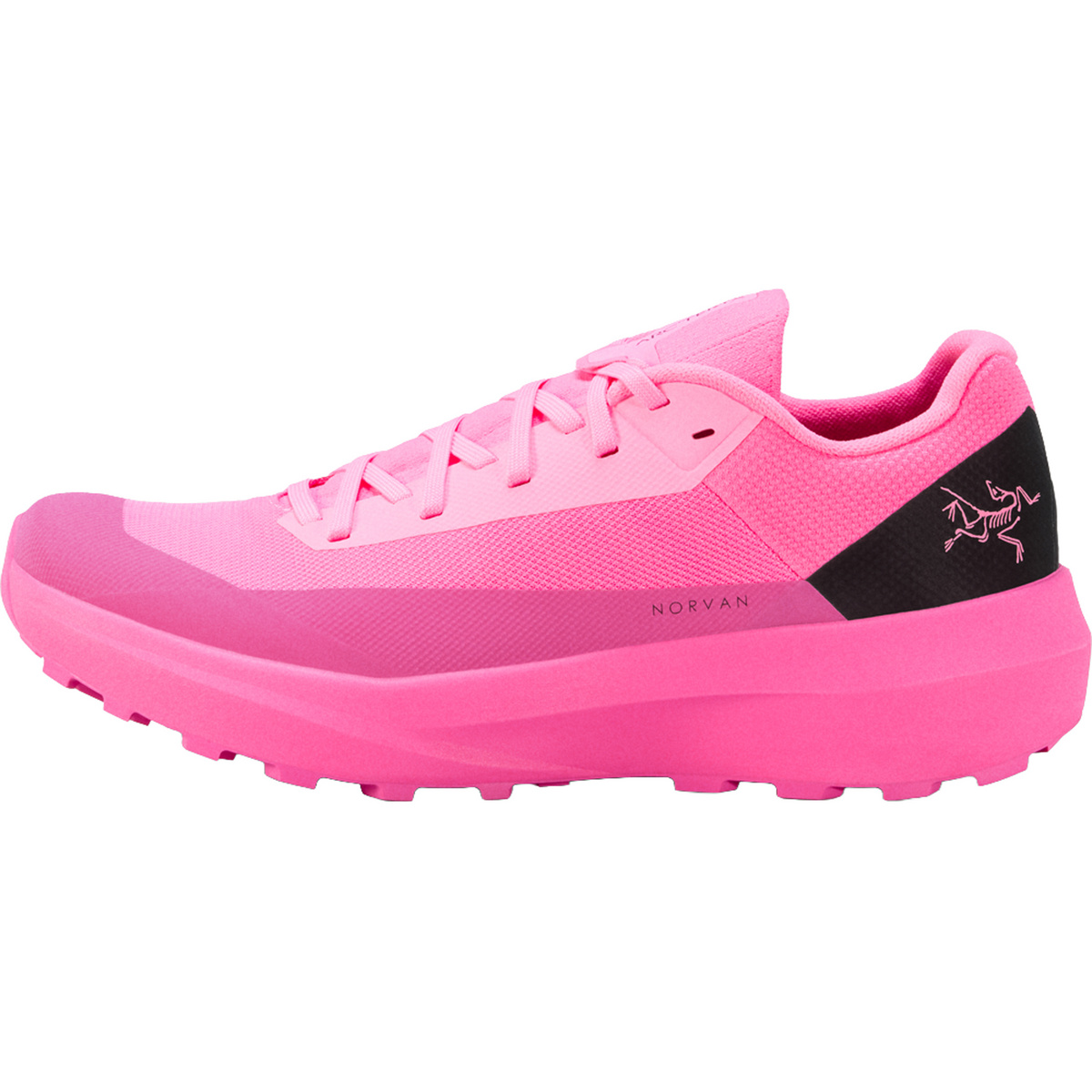 Arcteryx Damen Norvan LD 4 Schuhe (Größe 41 , pink)