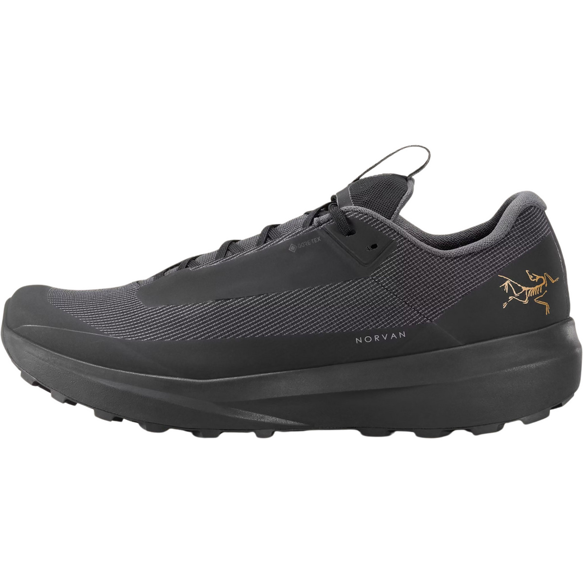 Arcteryx Herren Norvan LD 4 GTX Schuhe (Größe 42.5 , schwarz)