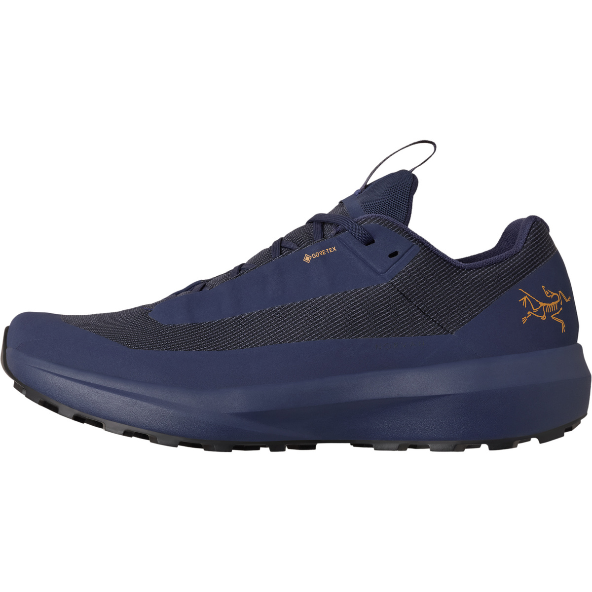 Arcteryx Herren Norvan LD 4 GTX Schuhe (Größe 47 , grau)