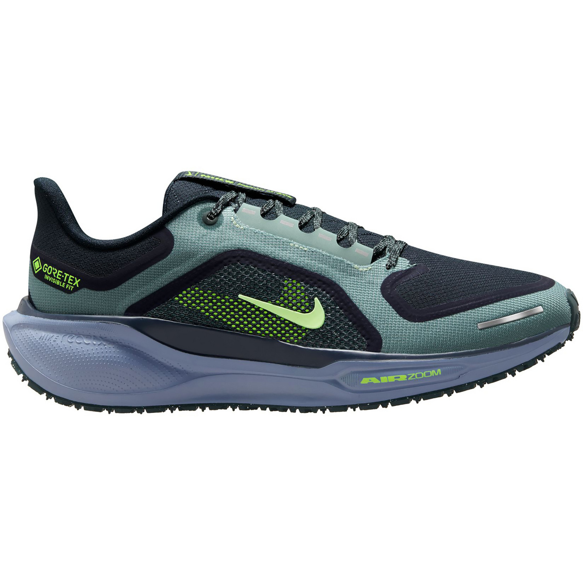 Image of Nike Herren Pegasus 41 GTX Schuhe