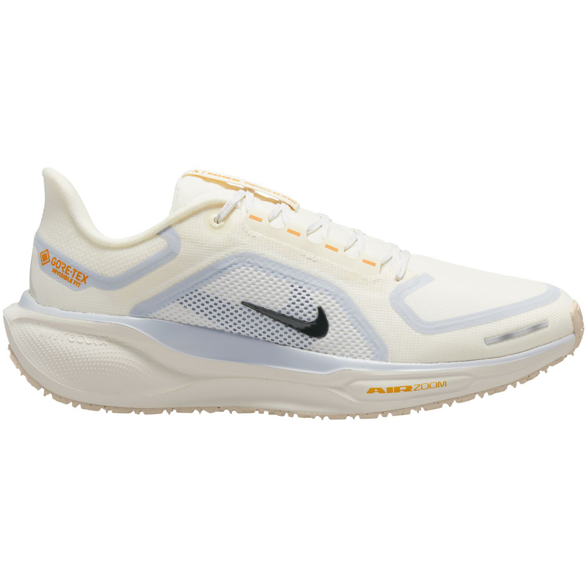 Image of Nike Uomo Scarpe Pegasus 41 GTX