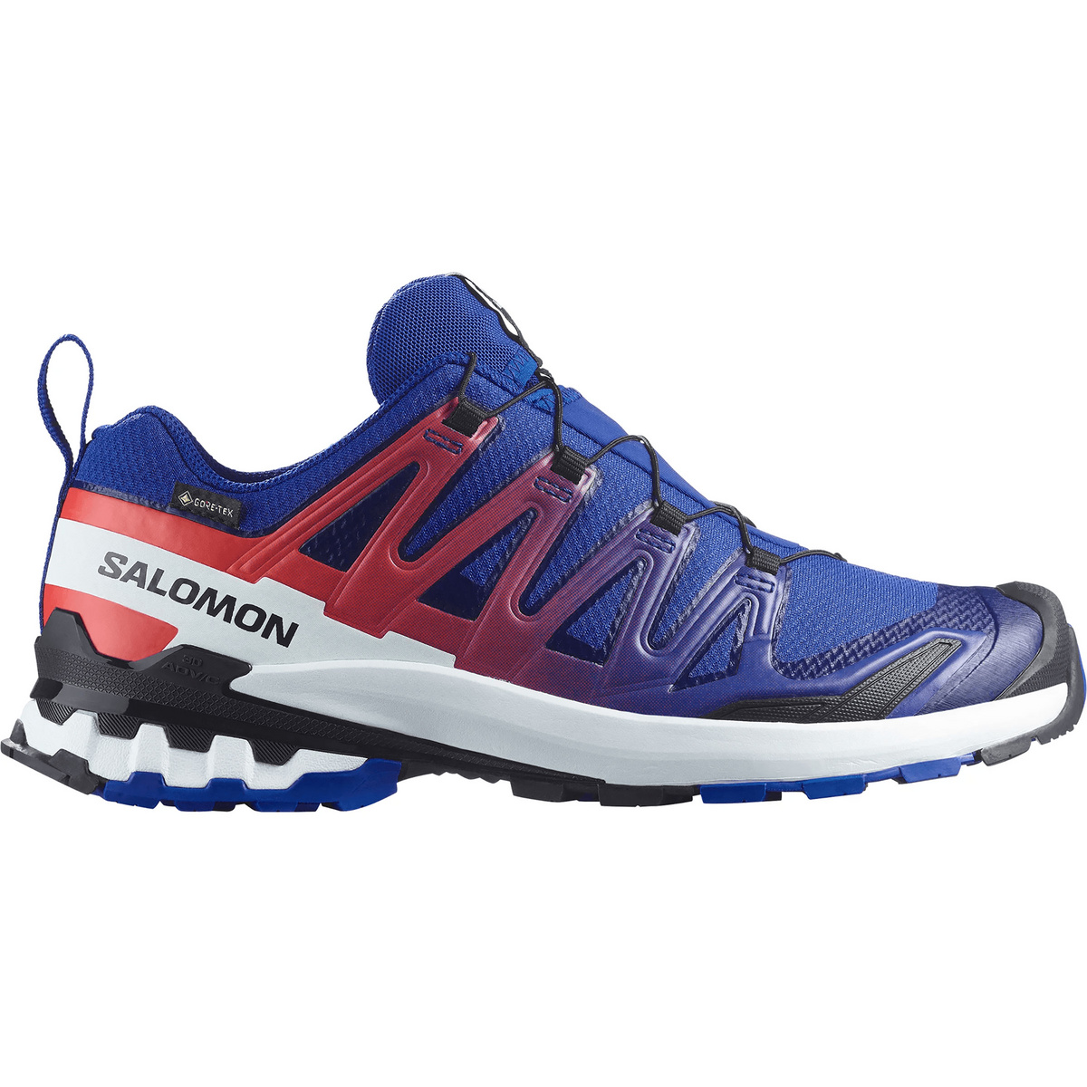 Image of Salomon XA Pro 3D V9 GTX Equipe Schuhe