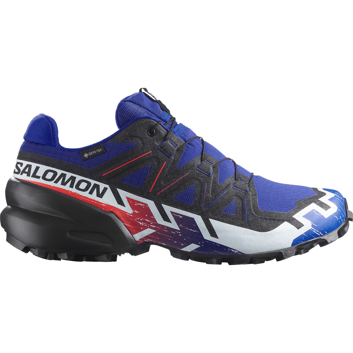Image of Salomon Speedcross 6 Gtx Equipe Schuhe