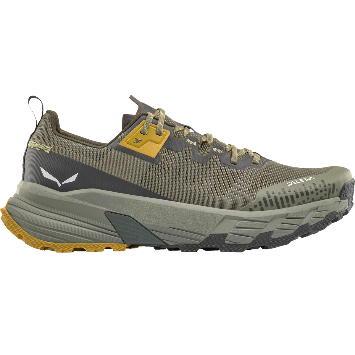 Image of Salewa Herren Pedroc 2 Max Schuhe