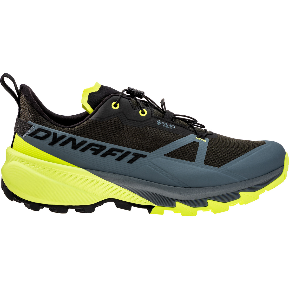 Image of Dynafit Herren Traverse 2 GTX Schuhe