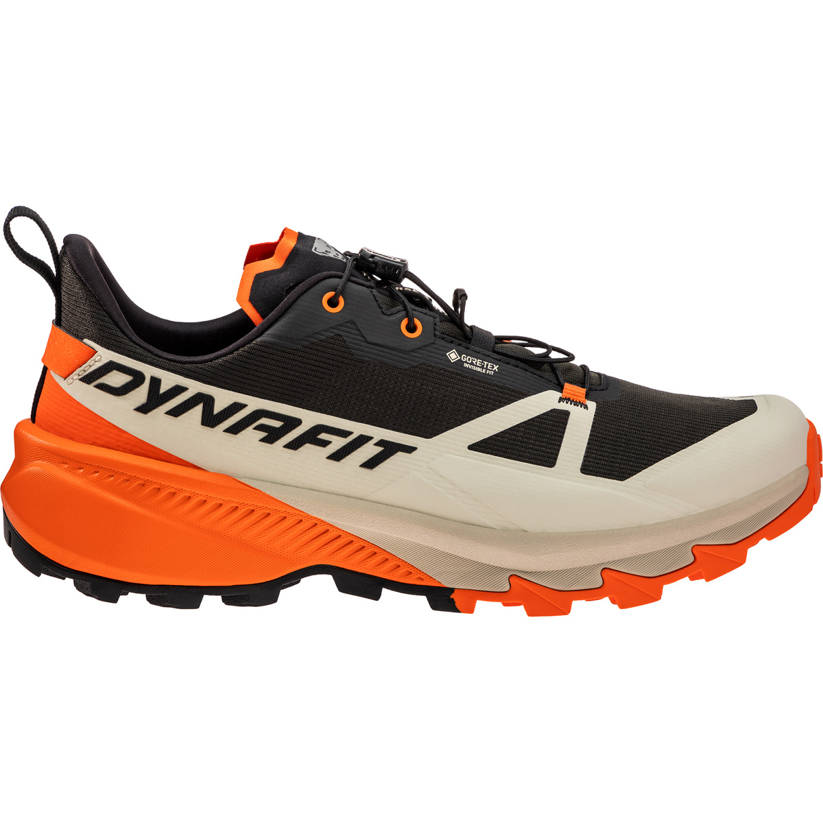 Dynafit Herren Traverse 2 GTX Schuhe (Größe 46, schwarz)