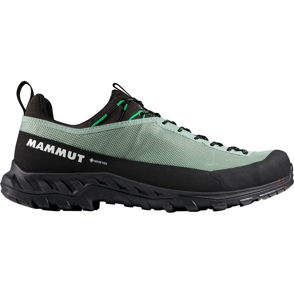 Image of Mammut Herren Alnasca IV Low GTX Schuhe