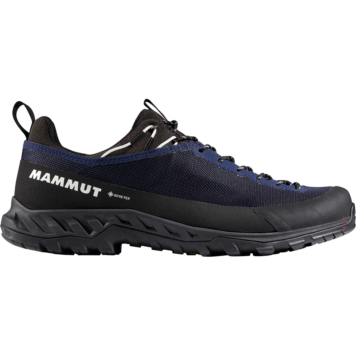 Mammut Herren Alnasca IV Low GTX Schuhe (Größe 45 , blau)