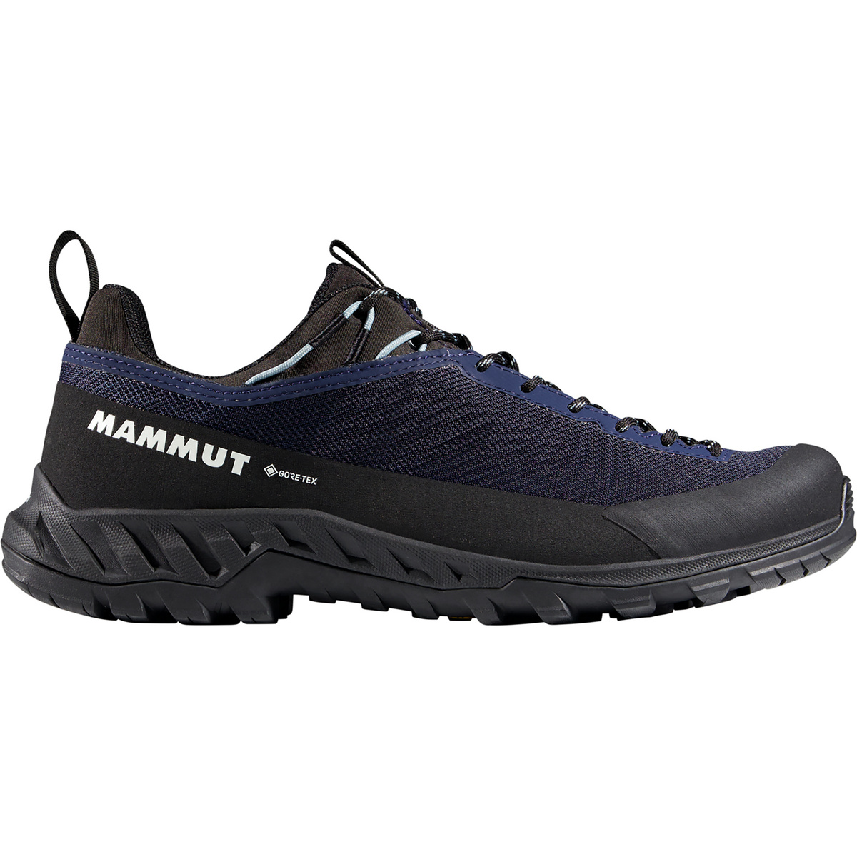 Image of Mammut Damen Alnasca IV Low GTX Schuhe