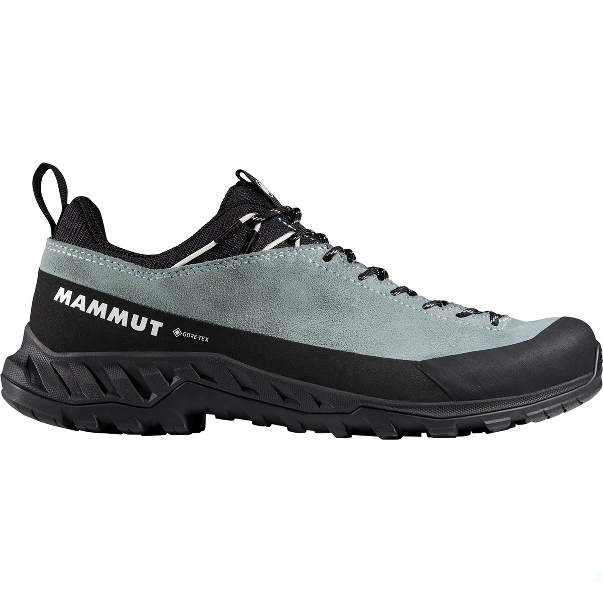 Image of Mammut Damen Alnasca IV Low Lth GTX Schuhe