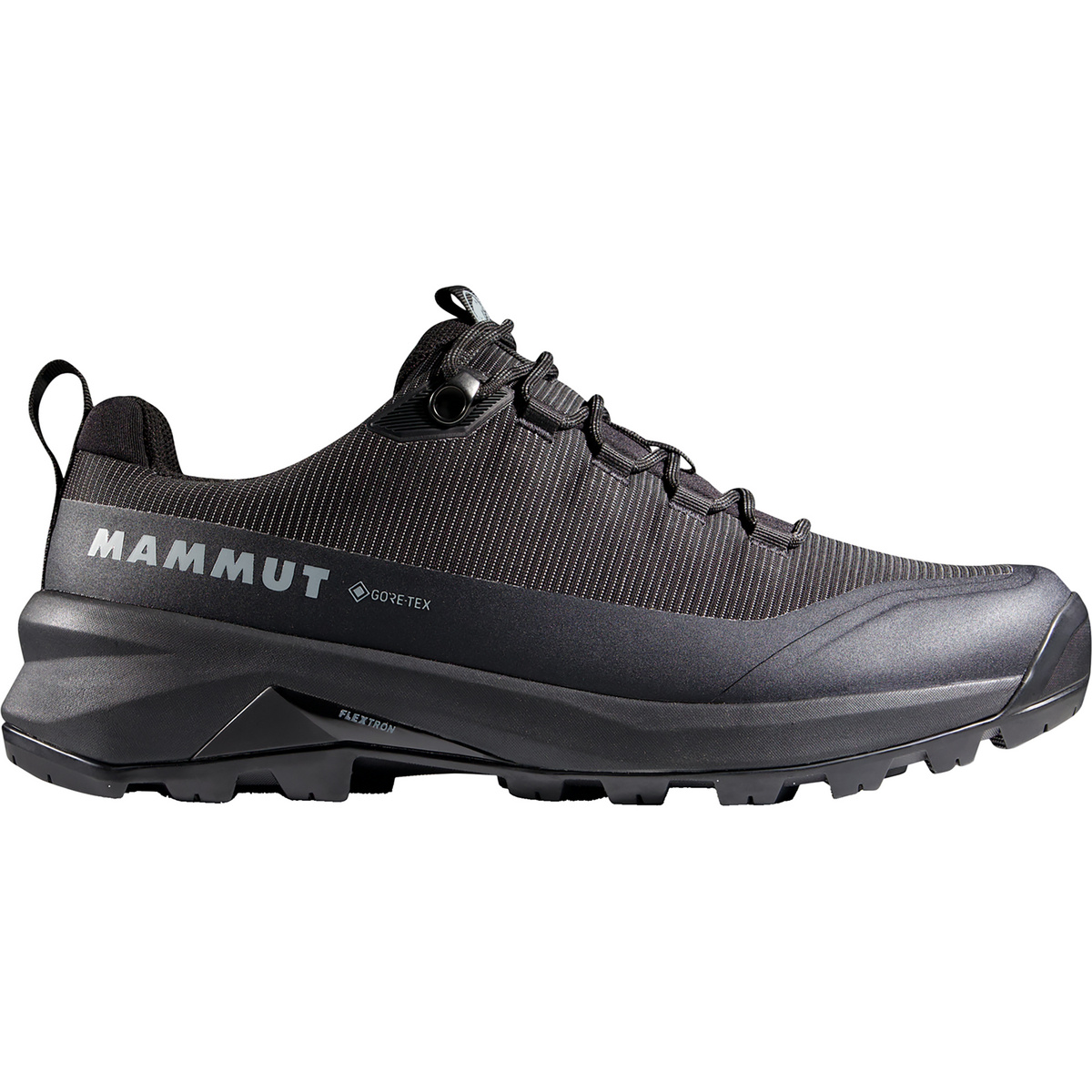 Image of Mammut Herren Ducan III Low GTX Schuhe