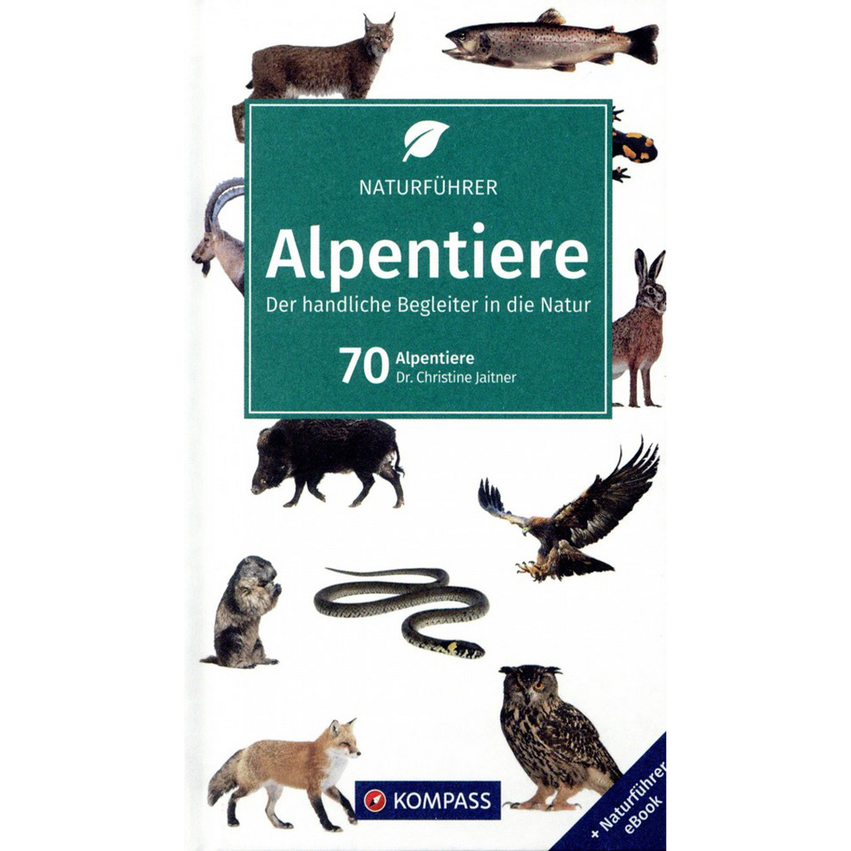 Image of Kompass Verlag Alpentiere NF 1101 Naturführer