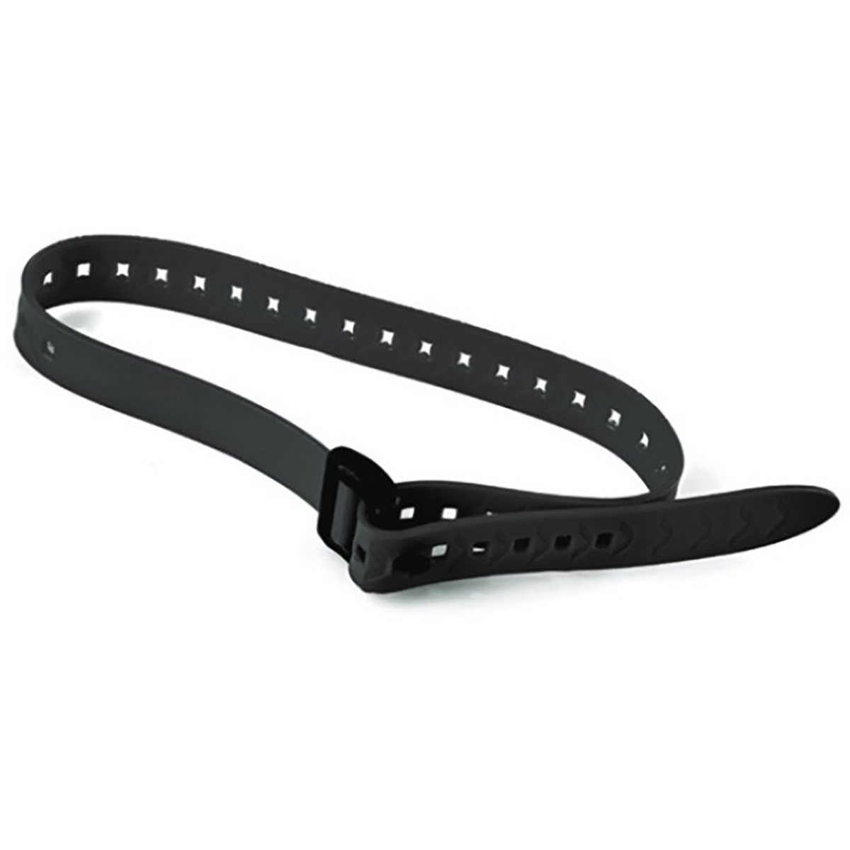 Image of Arva Cinghia Ski Strap