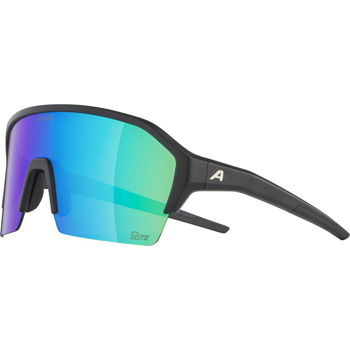 Alpina Ram HR HR HM+ Sportbrille (Größe ONE SIZE, black matt)