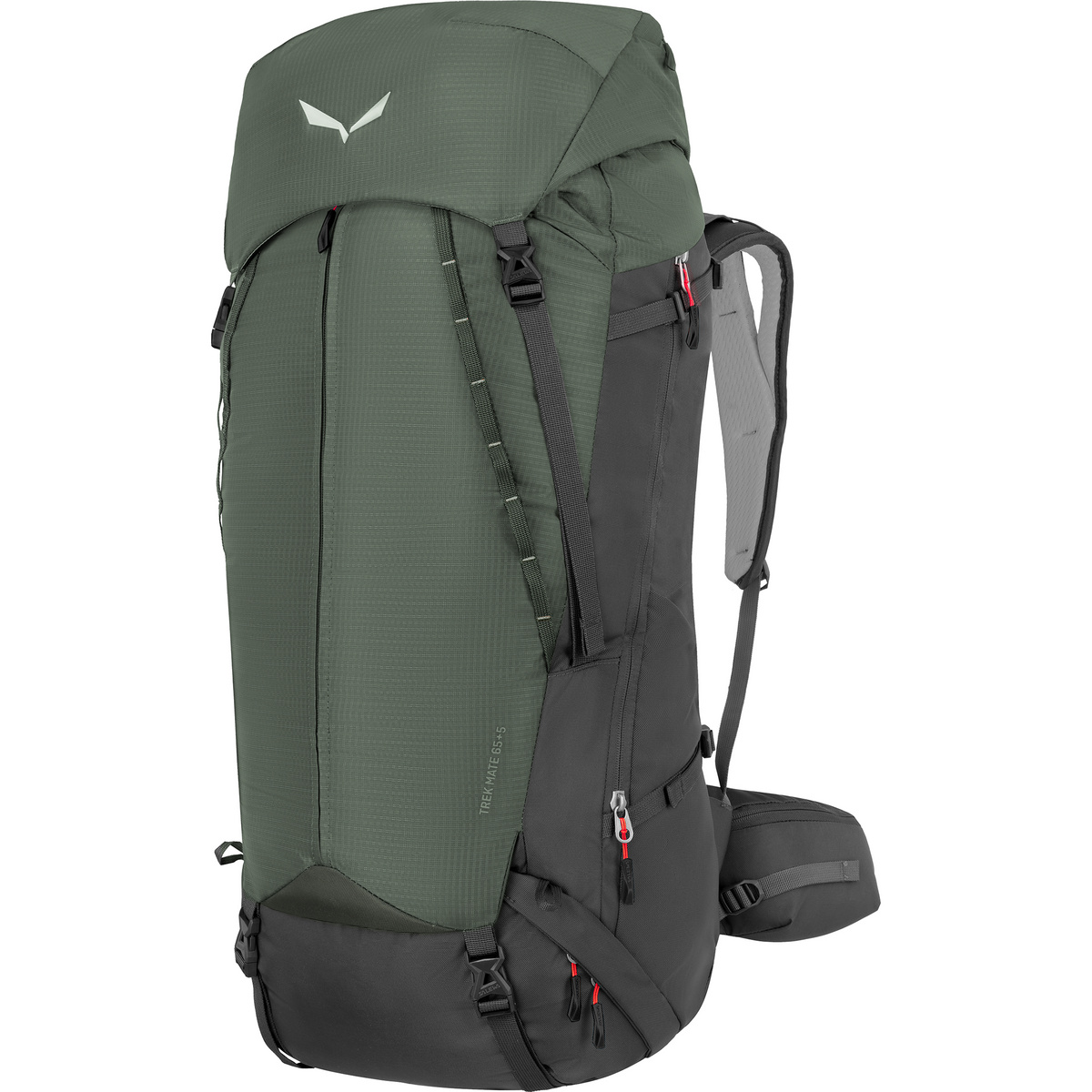 Salewa Sac à dos de randonnée Trek Mate 65+5 (taille 65+5L, Gris)