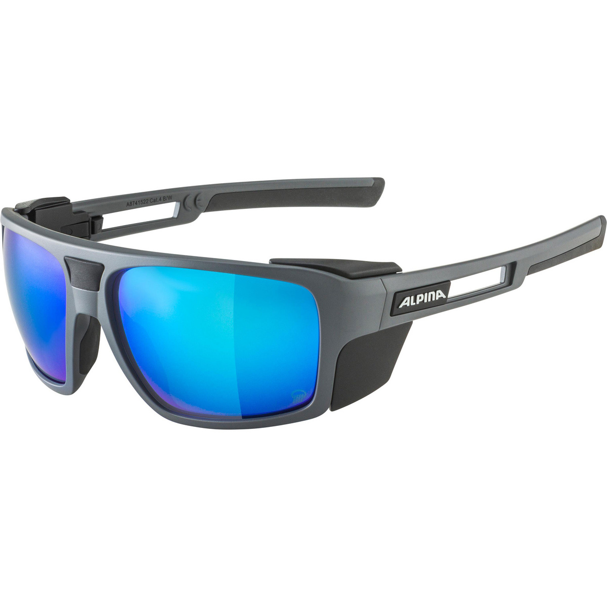 Alpina Skywalsh Gletscherbrille (Größe One Size, grau)