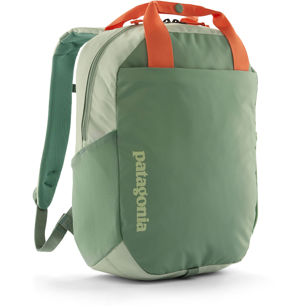 Patagonia Atom Tote Pack Rucksack (Größe 20L, gruen)