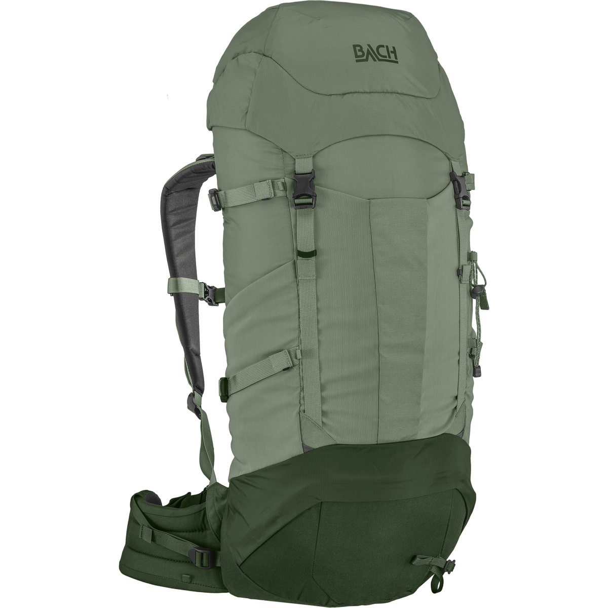 Bach Equipment Daydream 40 Rucksack (Größe 40L | REG, gruen)