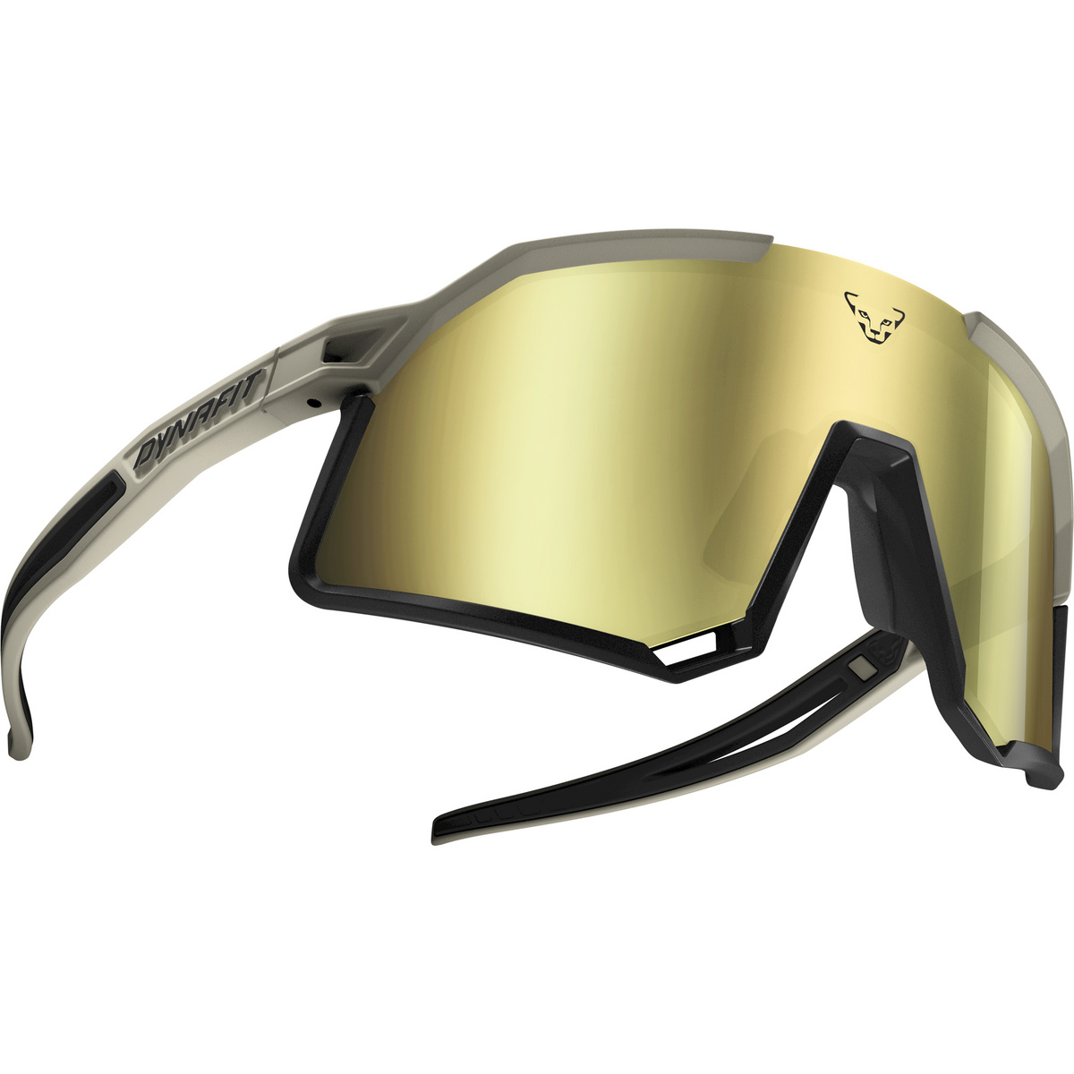 Dynafit Lunettes de sport Trail Evo (taille One Size, Vert)