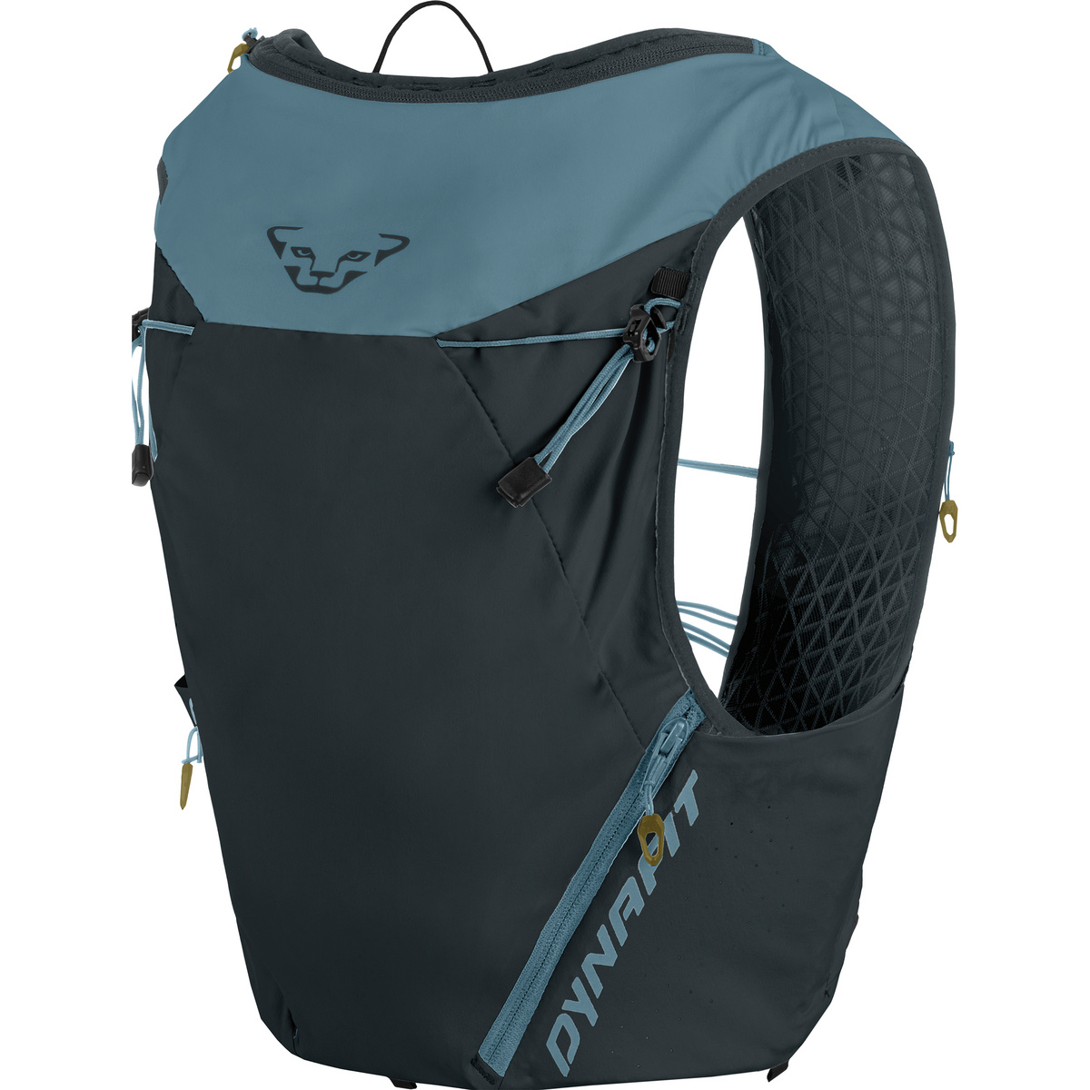 Dynafit Alpine 15 Laufrucksack (Größe XL, blau)