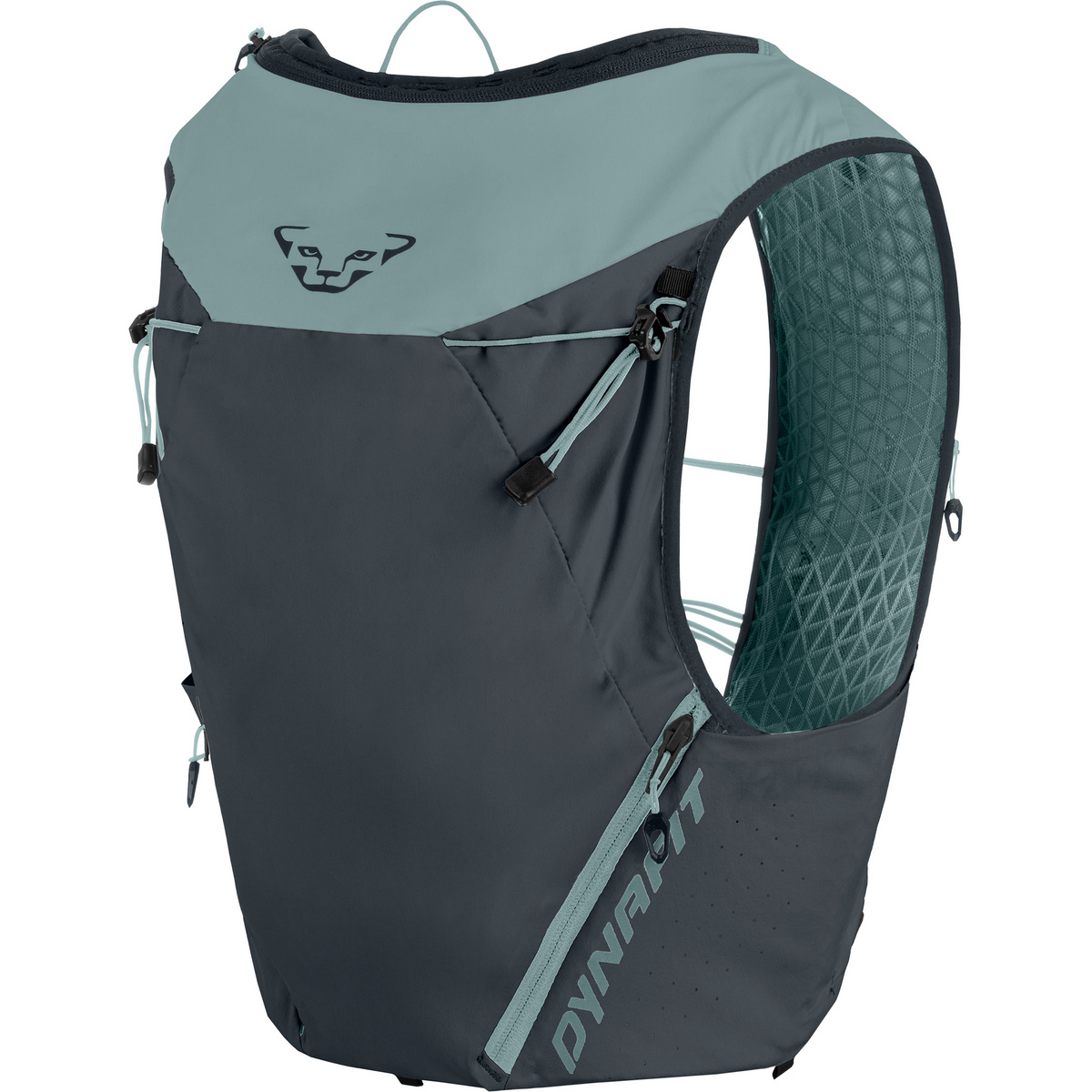 Dynafit Alpine 15 Laufrucksack (Größe 15L | XS-S, blau)