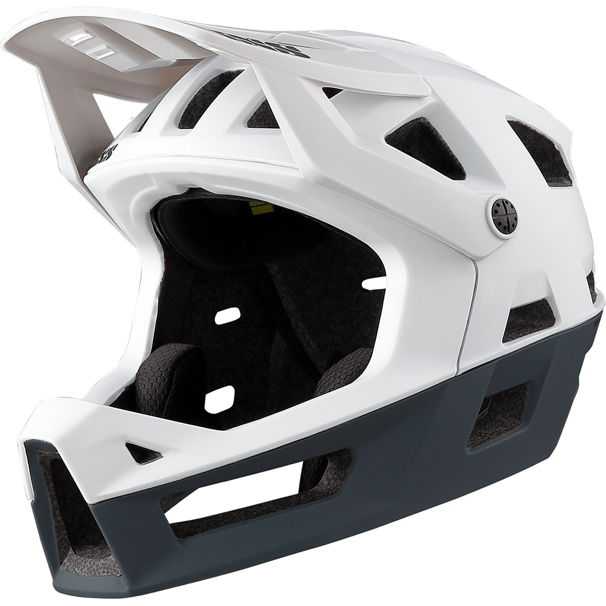 IXS Trigger FF Fahrradhelm (Größe 58-62CM, weiss)