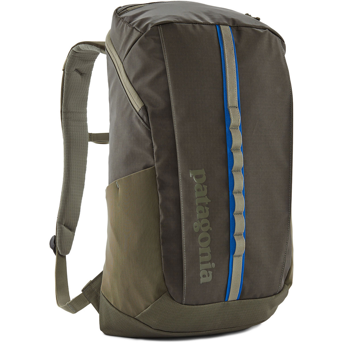 Patagonia Black Hole 25L Rucksack (Größe 25L, oliv)